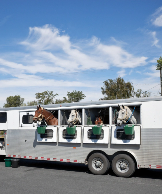 horse trailer repair